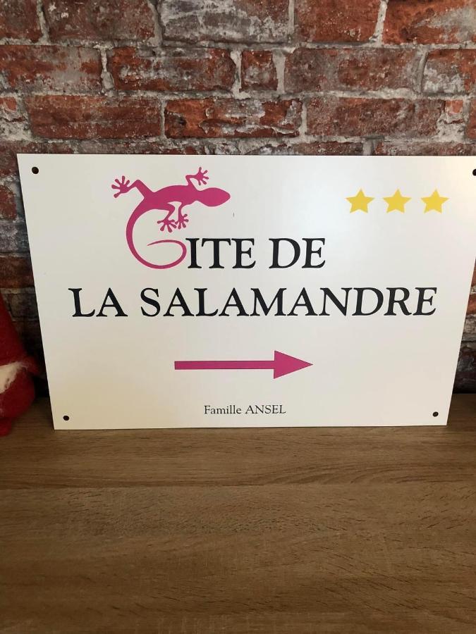 Gite De La Salamandre - 4 A 8 Personnes Lapoutroie Exterior foto